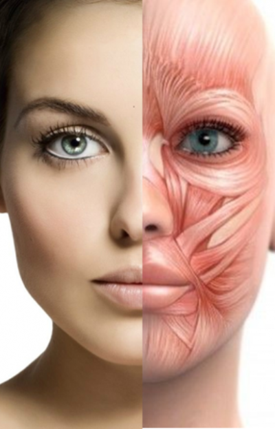 Ce este remodelarea miofascială facială?