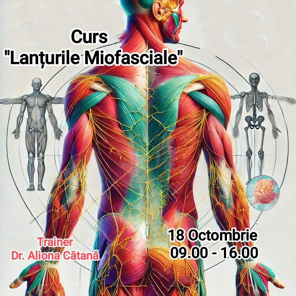 Incursiuni  în Terapia Lanțurilor Miofasciale Baza