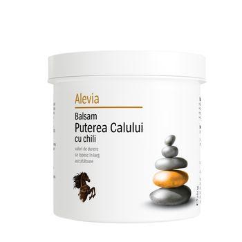 Balsam Puterea calului ( cu chili ) 250ml - imaginea 2