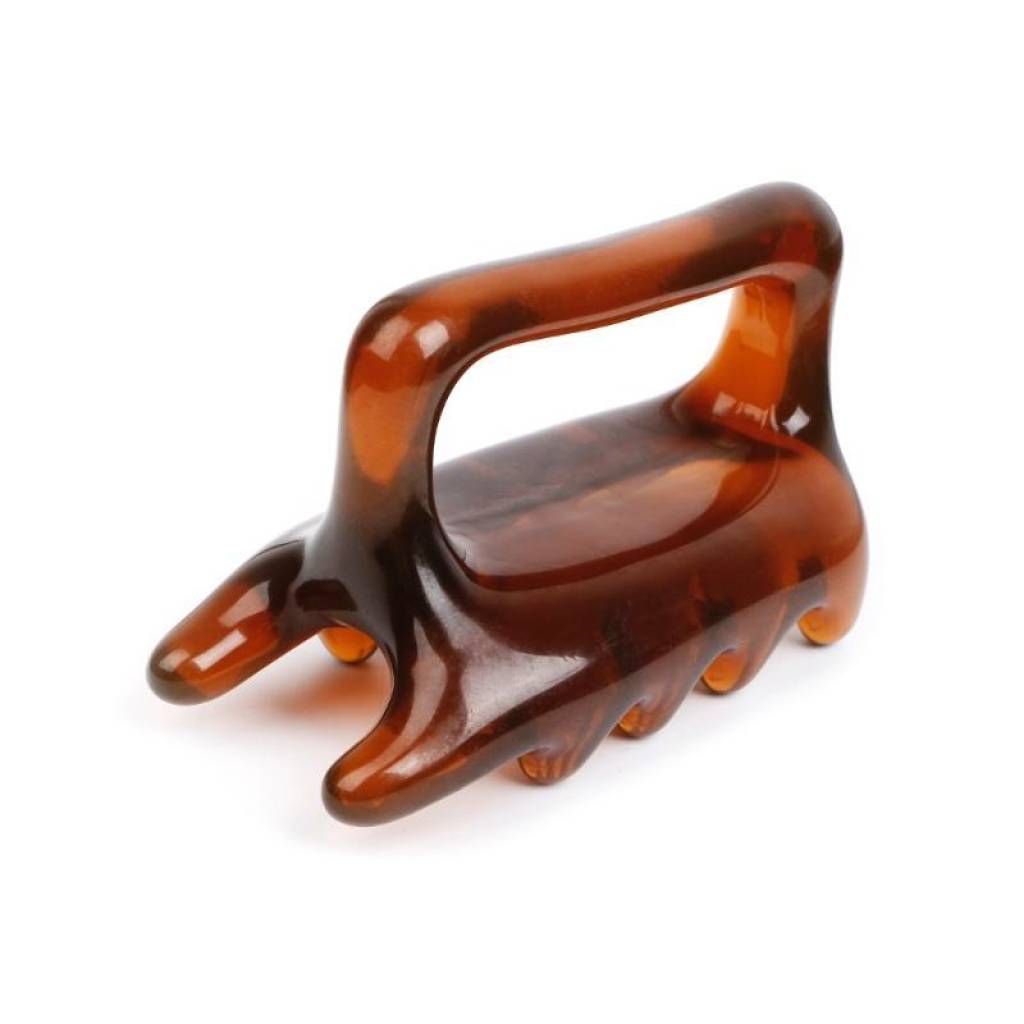 Gândac - imaginea 3