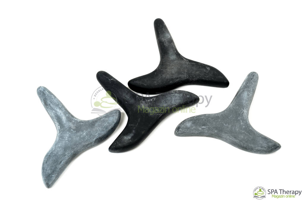 Punctiform Pasăre (shunghit) - 1
